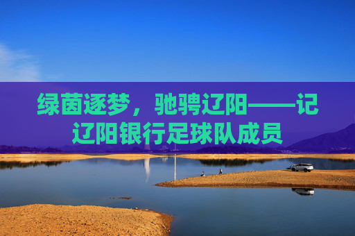 绿茵逐梦，驰骋辽阳——记辽阳银行足球队成员