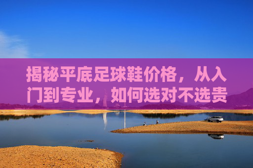 揭秘平底足球鞋价格，从入门到专业，如何选对不选贵