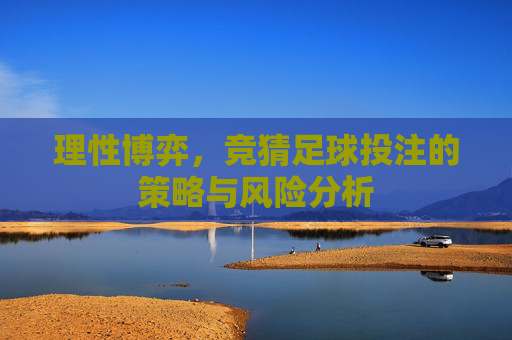 理性博弈，竞猜足球投注的策略与风险分析