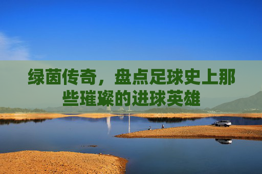 绿茵传奇,盘点足球史上那些璀璨的进球英雄