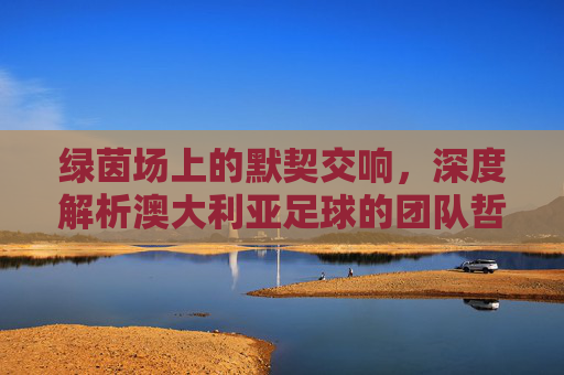 绿茵场上的默契交响，深度解析澳大利亚足球的团队哲学