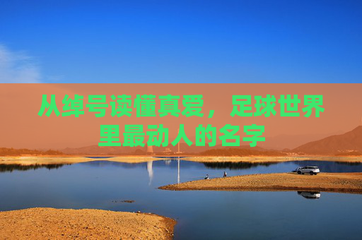从绰号读懂真爱,足球世界里最动人的名字