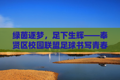 绿茵逐梦，足下生辉——奉贤区校园联盟足球书写青春华章