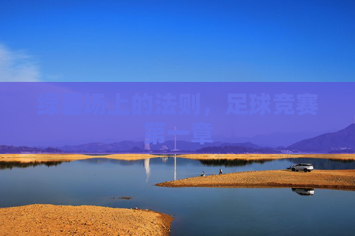 绿茵场上的法则，足球竞赛第一章