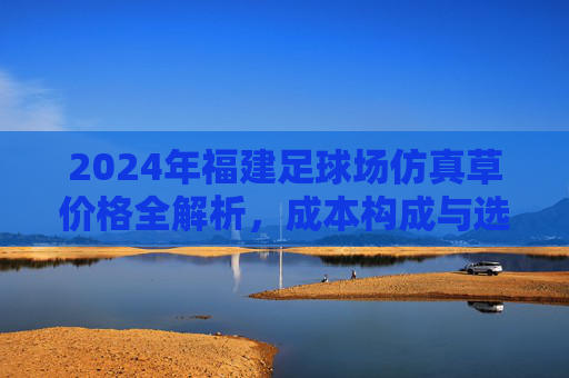 2024年福建足球场仿真草价格全解析,成本构成与选购建议