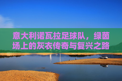 意大利诺瓦拉足球队，绿茵场上的灰衣传奇与复兴之路