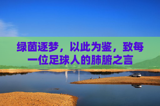 绿茵逐梦，以此为鉴，致每一位足球人的肺腑之言