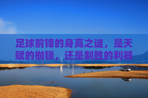 足球前锋的身高之谜，是天赋的枷锁，还是制胜的利器？