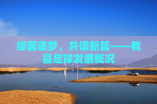 绿茵逐梦，共谱新篇——我县足球发展概况