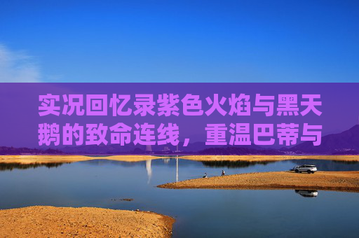 实况回忆录紫色火焰与黑天鹅的致命连线，重温巴蒂与约克的经典组合