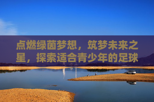点燃绿茵梦想，筑梦未来之星，探索适合青少年的足球联赛