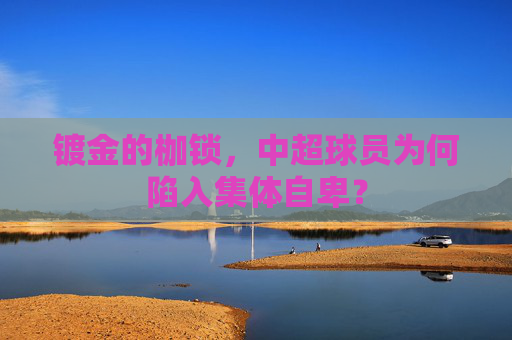 镀金的枷锁，中超球员为何陷入集体自卑？