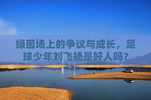 绿茵场上的争议与成长,足球少年刘飞扬是好人吗?