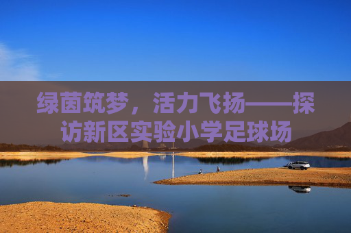 绿茵筑梦，活力飞扬——探访新区实验小学足球场