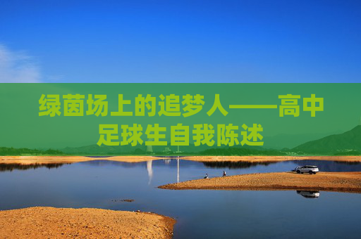 绿茵场上的追梦人——高中足球生自我陈述