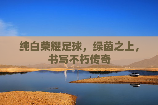 纯白荣耀足球，绿茵之上，书写不朽传奇