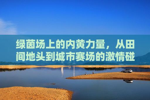 绿茵场上的内黄力量,从田间地头到城市赛场的激情碰撞