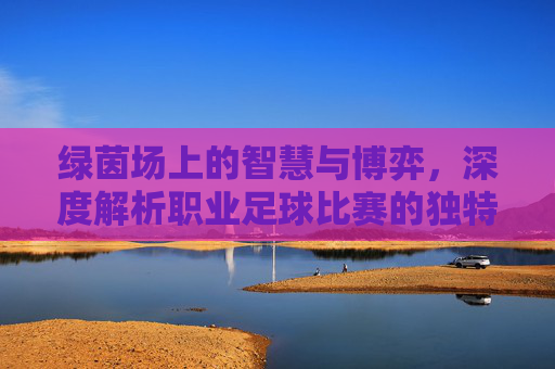 绿茵场上的智慧与博弈,深度解析职业足球比赛的独特魅力