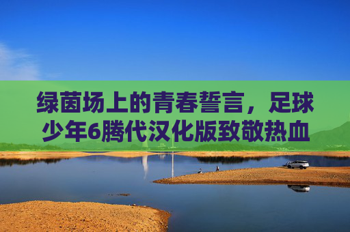 绿茵场上的青春誓言，足球少年6腾代汉化版致敬热血梦想