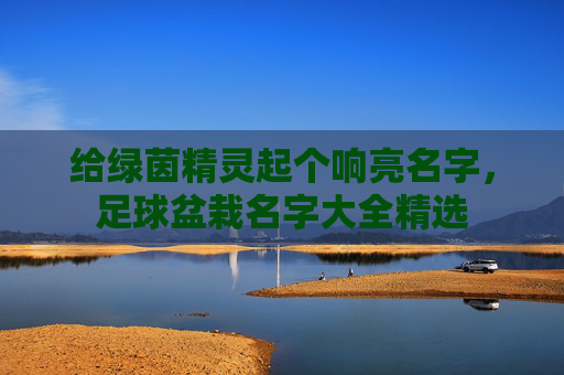 给绿茵精灵起个响亮名字，足球盆栽名字大全精选