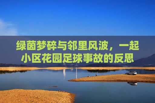 绿茵梦碎与邻里风波,一起小区花园足球事故的反思