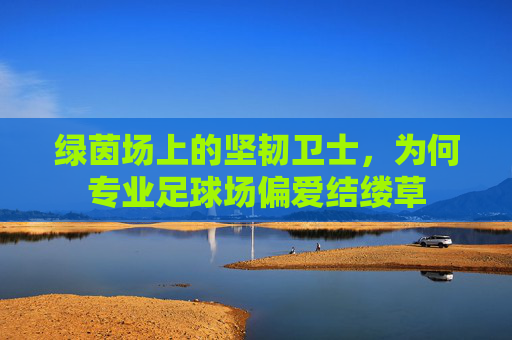 绿茵场上的坚韧卫士，为何专业足球场偏爱结缕草