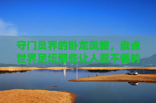 守门员界的卧龙凤雏,盘点世界足坛那些让人看不懂的奇葩门将
