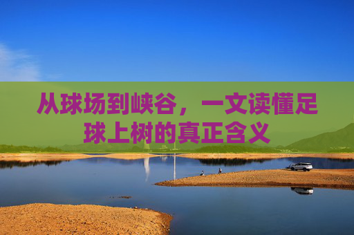 从球场到峡谷，一文读懂足球上树的真正含义