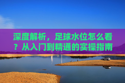 深度解析,足球水位怎么看?从入门到精通的实操指南
