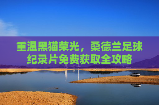 重温黑猫荣光，桑德兰足球纪录片免费获取全攻略