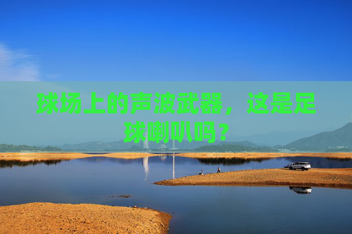 球场上的声波武器，这是足球喇叭吗？