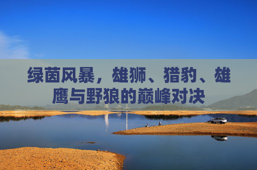 绿茵风暴,雄狮、猎豹、雄鹰与野狼的巅峰对决