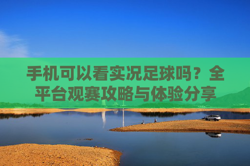 手机可以看实况足球吗？全平台观赛攻略与体验分享