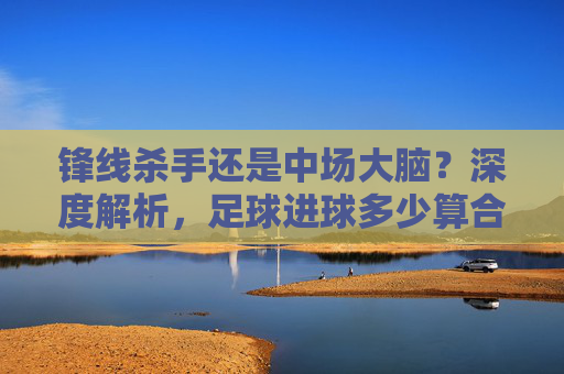 锋线杀手还是中场大脑？深度解析，足球进球多少算合格球员