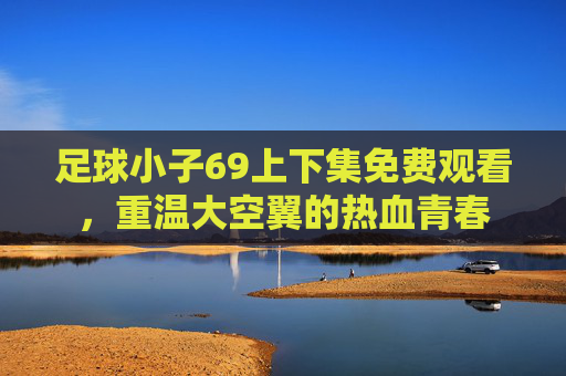 足球小子69上下集免费观看,重温大空翼的热血青春