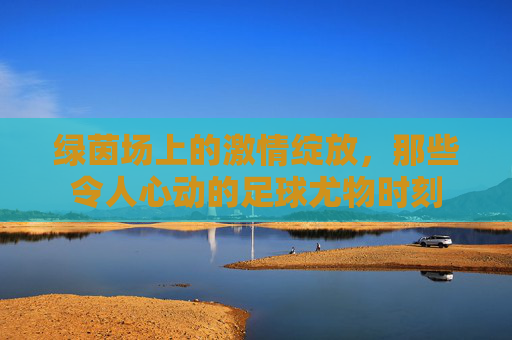 绿茵场上的激情绽放，那些令人心动的足球尤物时刻