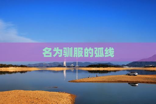 名为驯服的弧线