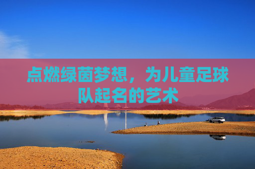 点燃绿茵梦想，为儿童足球队起名的艺术