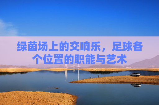 绿茵场上的交响乐,足球各个位置的职能与艺术