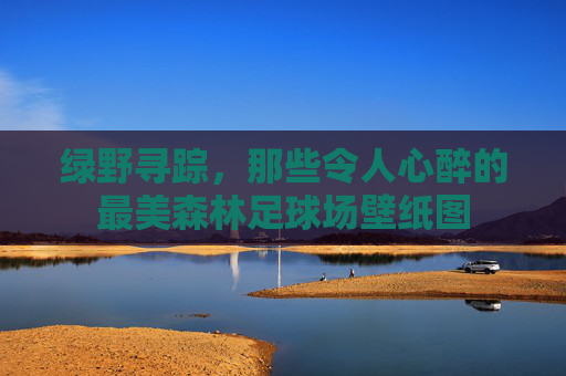 绿野寻踪，那些令人心醉的最美森林足球场壁纸图
