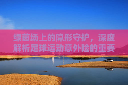 绿茵场上的隐形守护,深度解析足球运动意外险的重要性与保障内容
