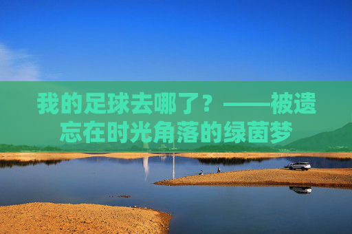 我的足球去哪了?——被遗忘在时光角落的绿茵梦