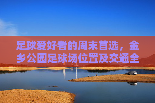 足球爱好者的周末首选,金乡公园足球场位置及交通全攻略