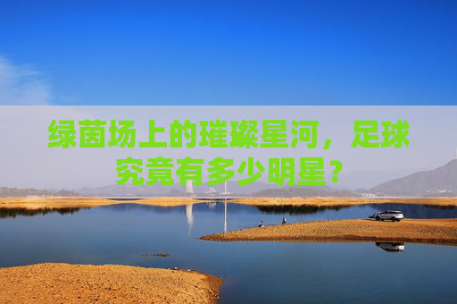 绿茵场上的璀璨星河，足球究竟有多少明星？
