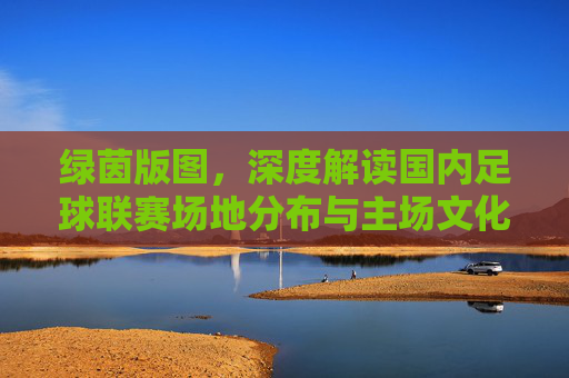绿茵版图，深度解读国内足球联赛场地分布与主场文化