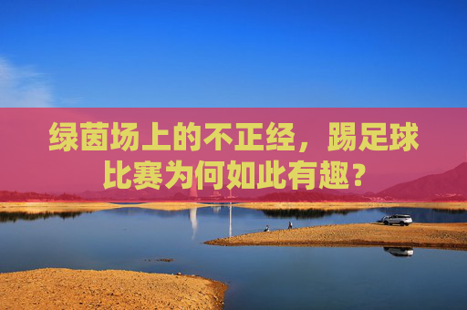 绿茵场上的不正经,踢足球比赛为何如此有趣?