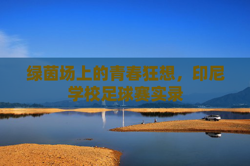绿茵场上的青春狂想,印尼学校足球赛实录