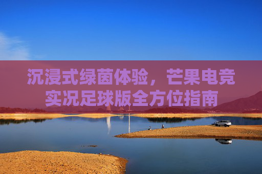 沉浸式绿茵体验,芒果电竞实况足球版全方位指南