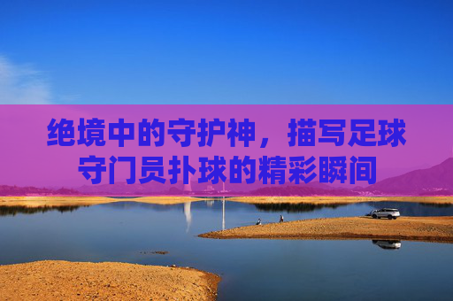 绝境中的守护神,描写足球守门员扑球的精彩瞬间