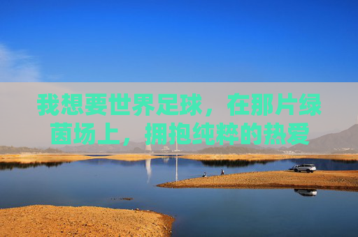 我想要世界足球，在那片绿茵场上，拥抱纯粹的热爱